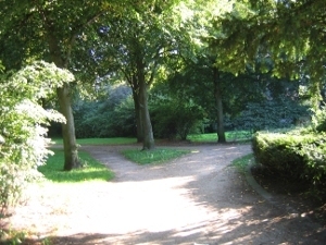 Wohlerspark