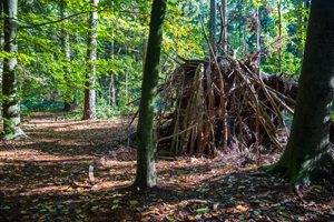 Eine Hütte aus Ästen