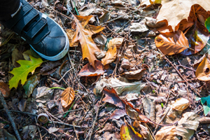 Kinderfuss und Blätter auf dem Waldboden